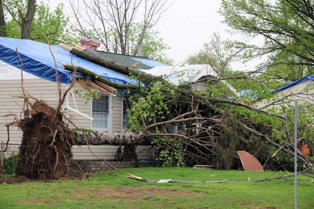 Storm Damage Repair